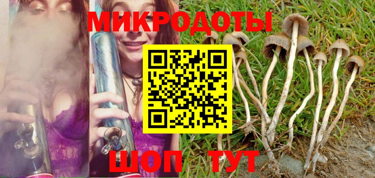 Галлюциногенные грибы Magic Shrooms Городец