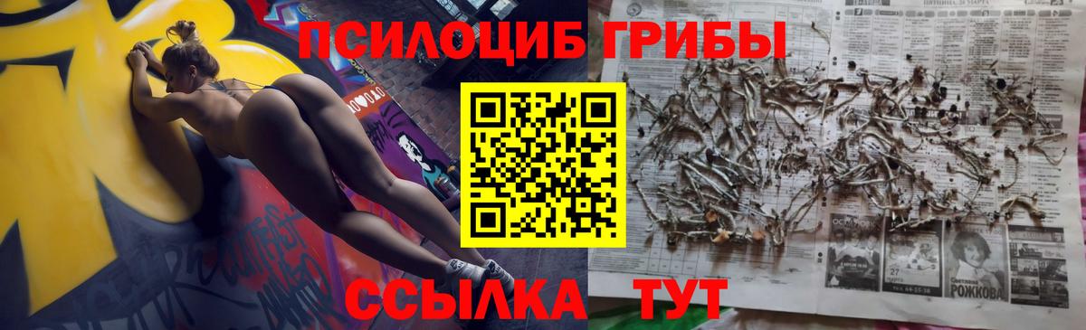 закладка  Вход с VPN  Городец  Галлюциногенные грибы мухоморы 